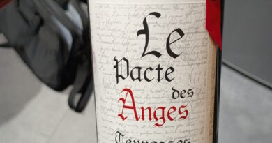 5 Le Pacte des anges Vellas Père et Fils (2022)