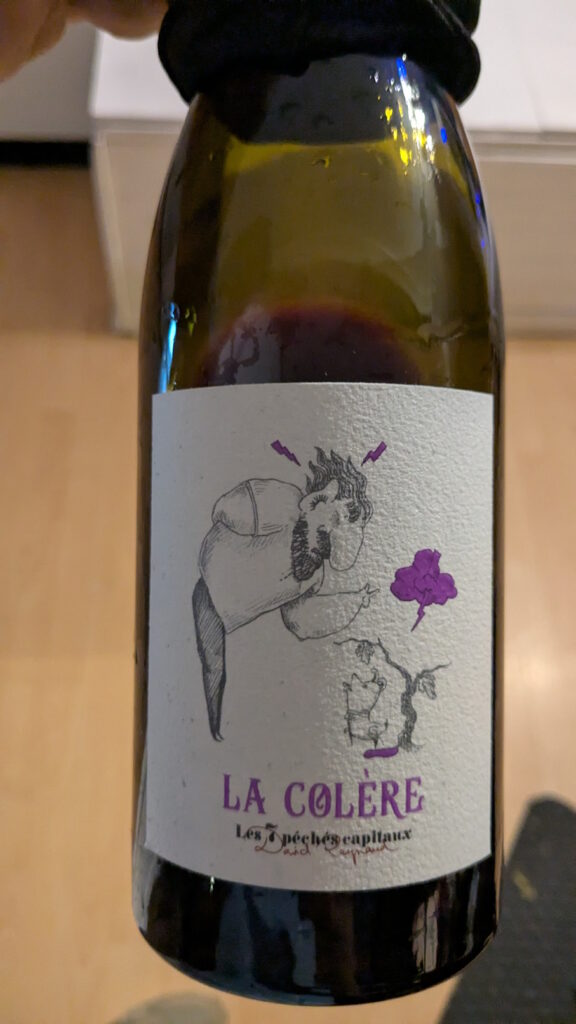 04 La Colère (2024) - David Reynaud