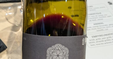 06 La Coulée des Schistes (2023) - Lanye-Barrac Vitifarm