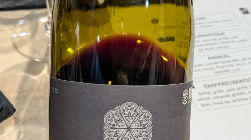 06 La Coulée des Schistes (2023) - Lanye-Barrac Vitifarm