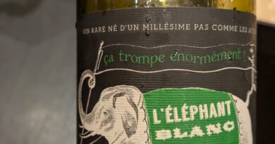 02- L'éléphant blanc (2024) - Combel la Serre