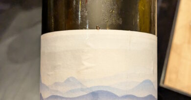 03- Panorama (2023) - La petite odyssée