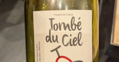 04 Tombé du ciel (2021) - L'enclos des Braves