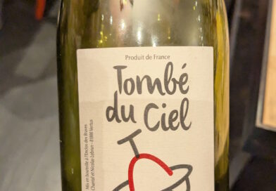 04 Tombé du ciel (2021) - L'enclos des Braves