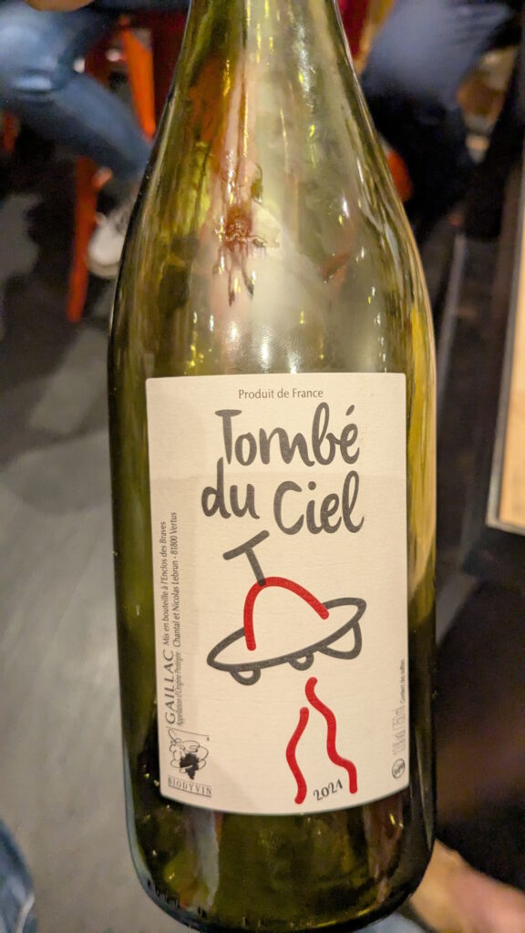04 Tombé du ciel (2021) - L'enclos des Braves