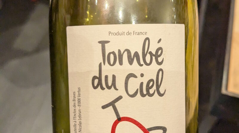 04 Tombé du ciel (2021) - L'enclos des Braves