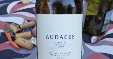 07- Audaces (2023) - Jacques Beauclair