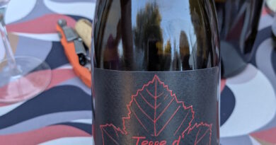 08- Terres d'Abouriou (2022) - Cave du