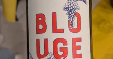 01 - Blouge (2024) - Maison Chape