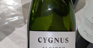 01- Cygnus Albireo Brut - U mes U