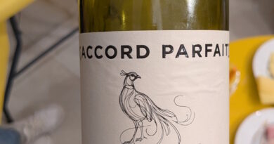 04 - [Accord Parfait] Fronton (2024) - Maison Chape