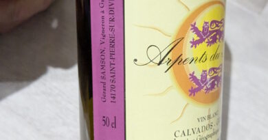 04 - Arpents du Soleil (2019) - Gérard Samson