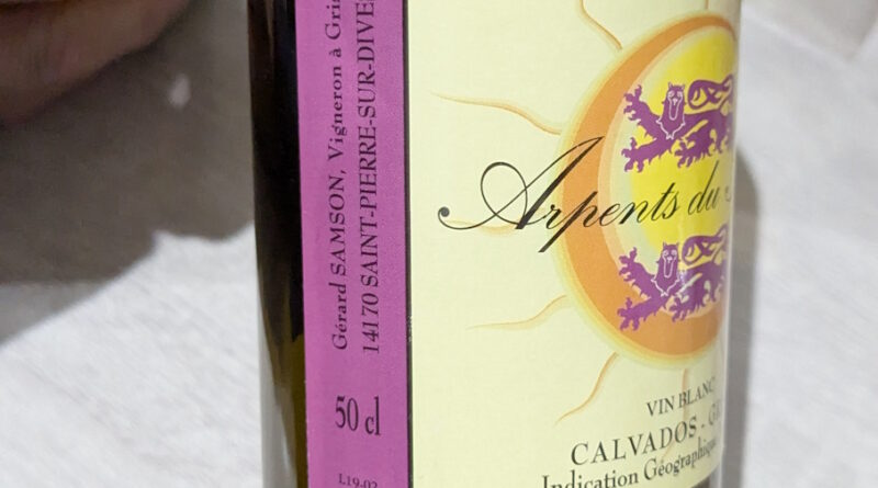 04 - Arpents du Soleil (2019) - Gérard Samson