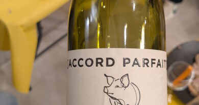 05 - [Accord Parfait] Faugères (2024) - Maison Chape