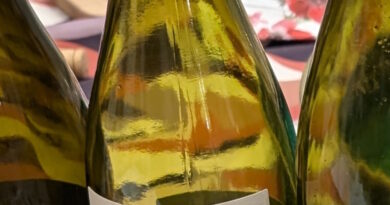 3 - Chenin (2024) - Maison Chape