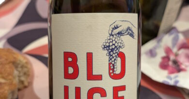 8 - Blouge (2024) - Maison Chape