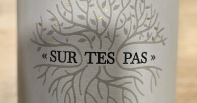 02- Sur tes pas (2024) - Les vignobles Foncalieu