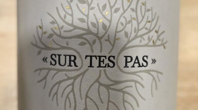 02- Sur tes pas (2024) - Les vignobles Foncalieu