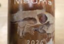 03- Mauma (2024) - Château Les Vignals
