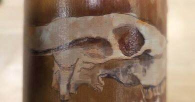 03- Mauma (2024) - Château Les Vignals