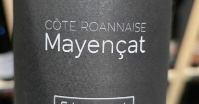 04- Mayençat (2023) - Florent THINON
