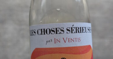 2- Les Choses Sérieuses - Blanc (2025) - Domaine In Ventis