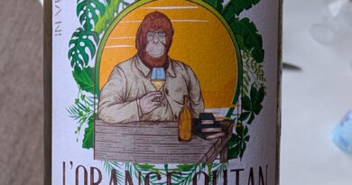 6- L'Orange Outan (2024) - Domaine In Ventis