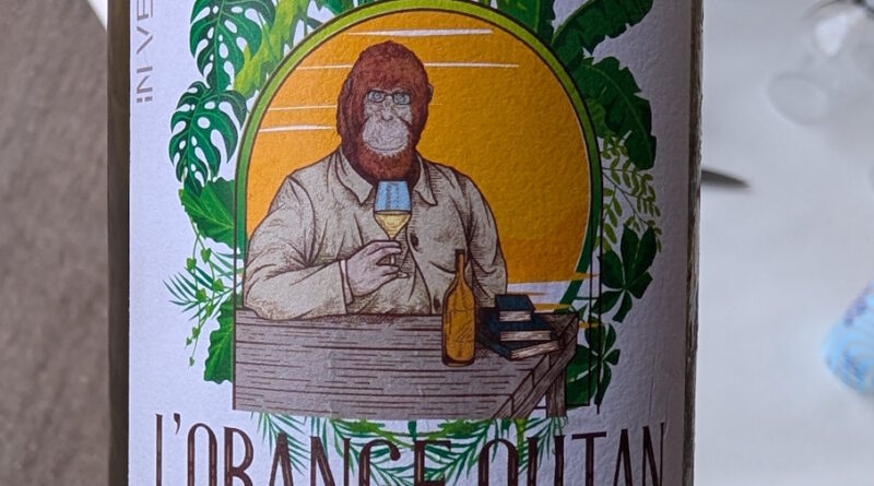 6- L'Orange Outan (2024) - Domaine In Ventis