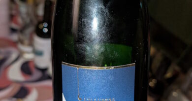 11- L'Illustre Brut - Marcel Vézien