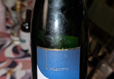11- L'Illustre Brut - Marcel Vézien