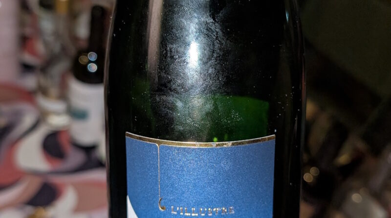 11- L'Illustre Brut - Marcel Vézien