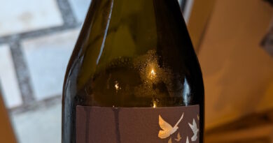 8- Bulles by Puech Roques (2024) - Domaine Puech Roques