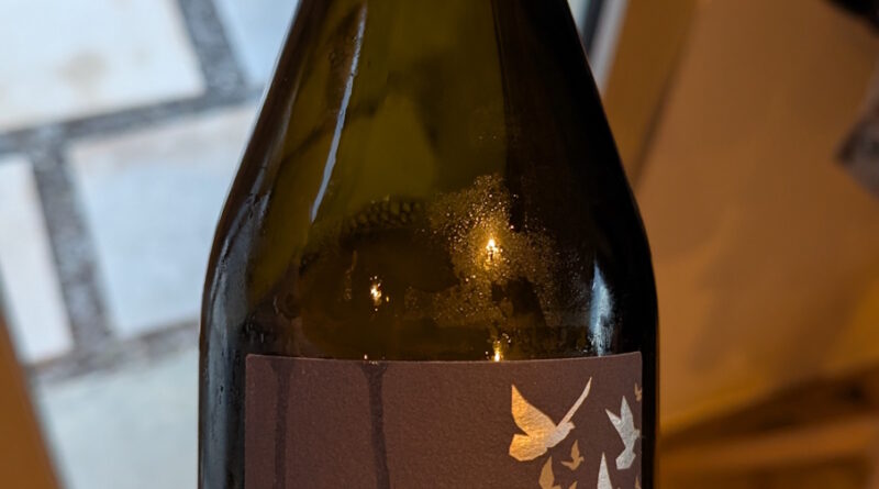 8- Bulles by Puech Roques (2024) - Domaine Puech Roques