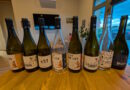 ensemble puech roques
