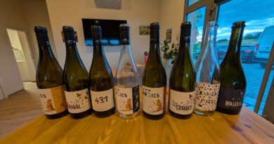 ensemble puech roques