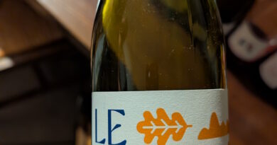 3a- Le P'tit Bouïs (2025) - Terre Patrimoine