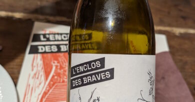 3a- Loin de l'œil mon amour (2025) - L'Enclos des Braves