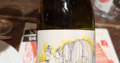 4a- Passages (2023) - L'Enclos des Braves